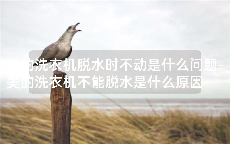 美的洗衣机脱水时不动是什么问题-美的洗衣机不能脱水是什么原因-