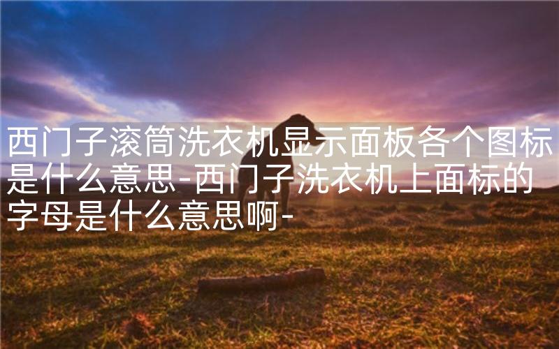西门子滚筒洗衣机显示面板各个图标是什么意思-西门子洗衣机上面标的字母是什么意思啊-
