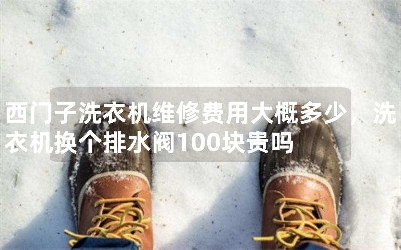 西门子洗衣机维修费用大概多少，洗衣机换个排水阀100块贵吗