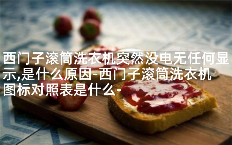 西门子滚筒洗衣机突然没电无任何显示,是什么原因-西门子滚筒洗衣机图标对照表是什么-