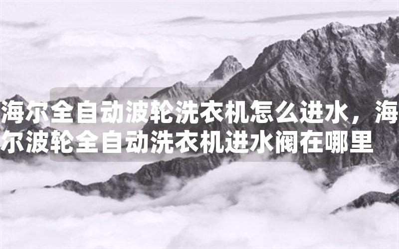 海尔全自动波轮洗衣机怎么进水，海尔波轮全自动洗衣机进水阀在哪里