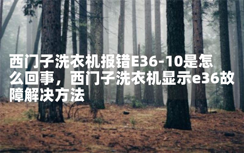 西门子洗衣机报错E36-10是怎么回事，西门子洗衣机显示e36故障解决方法