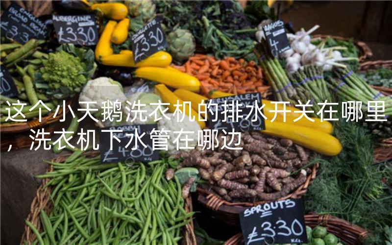 这个小天鹅洗衣机的排水开关在哪里，洗衣机下水管在哪边