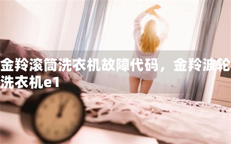 金羚滚筒洗衣机故障代码，金羚波轮洗衣机e1