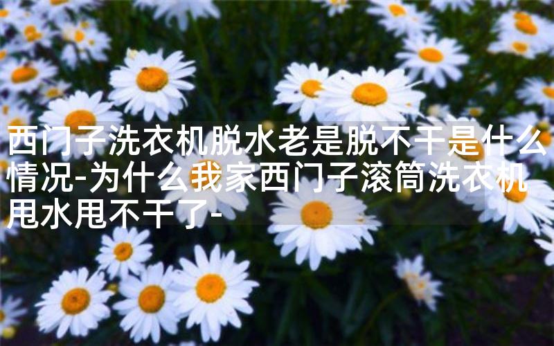 西门子洗衣机脱水老是脱不干是什么情况-为什么我家西门子滚筒洗衣机甩水甩不干了-