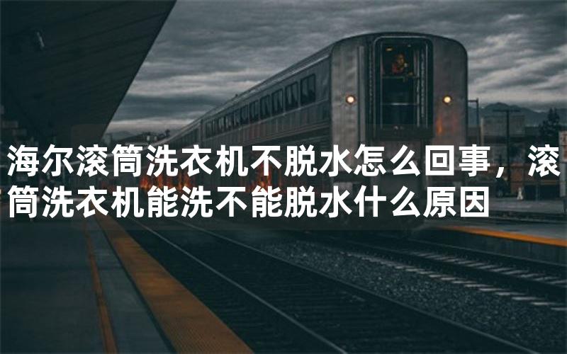 海尔滚筒洗衣机不脱水怎么回事，滚筒洗衣机能洗不能脱水什么原因