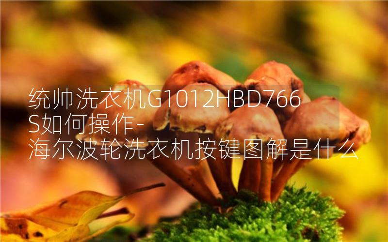 统帅洗衣机G1012HBD766S如何操作-海尔波轮洗衣机按键图解是什么