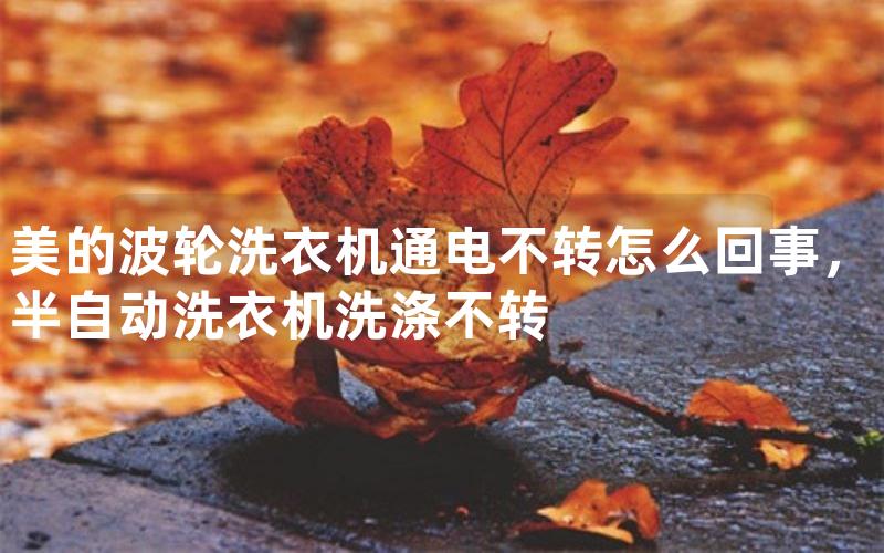 美的波轮洗衣机通电不转怎么回事，半自动洗衣机洗涤不转