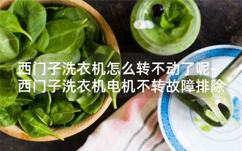 西门子洗衣机怎么转不动了呢-西门子洗衣机电机不转故障排除