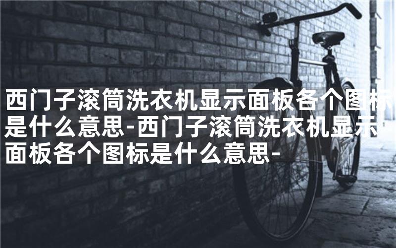 西门子滚筒洗衣机显示面板各个图标是什么意思-西门子滚筒洗衣机显示面板各个图标是什么意思-