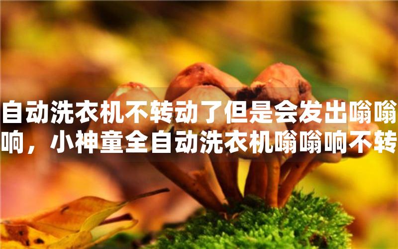 自动洗衣机不转动了但是会发出嗡嗡响，小神童全自动洗衣机嗡嗡响不转
