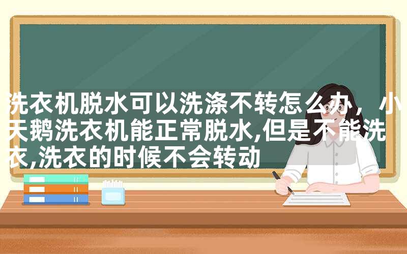 洗衣机脱水可以洗涤不转怎么办，小天鹅洗衣机能正常脱水,但是不能洗衣,洗衣的时候不会转动